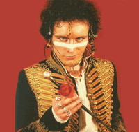 adam ant