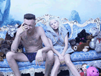 die antwoord