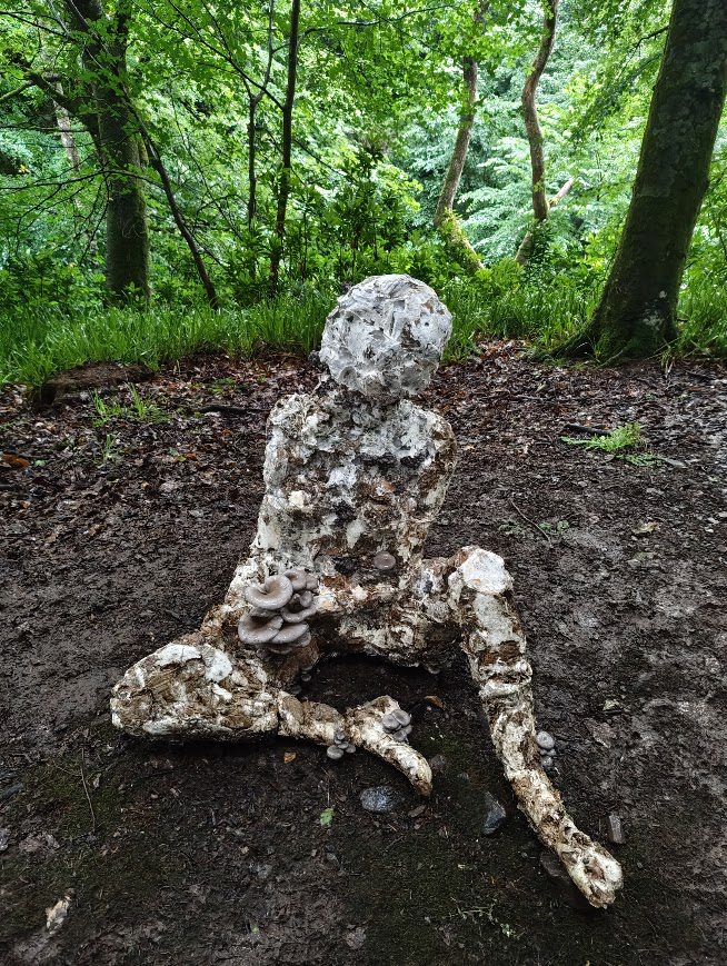 Kirsten Tingle's mycelium sculptures
